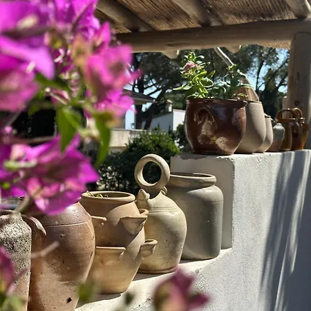 Juliette Dans Le Golfe De Saint Tropez, A 250 M De La Villa *