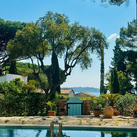 Juliette Dans Le Golfe De Saint Tropez, A 250 M De La Grimaud