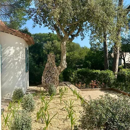 Juliette Dans Le Golfe De Saint Tropez, A 250 M De La Grimaud