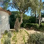 Juliette Dans Le Golfe De Saint Tropez, A 250 M De La Grimaud